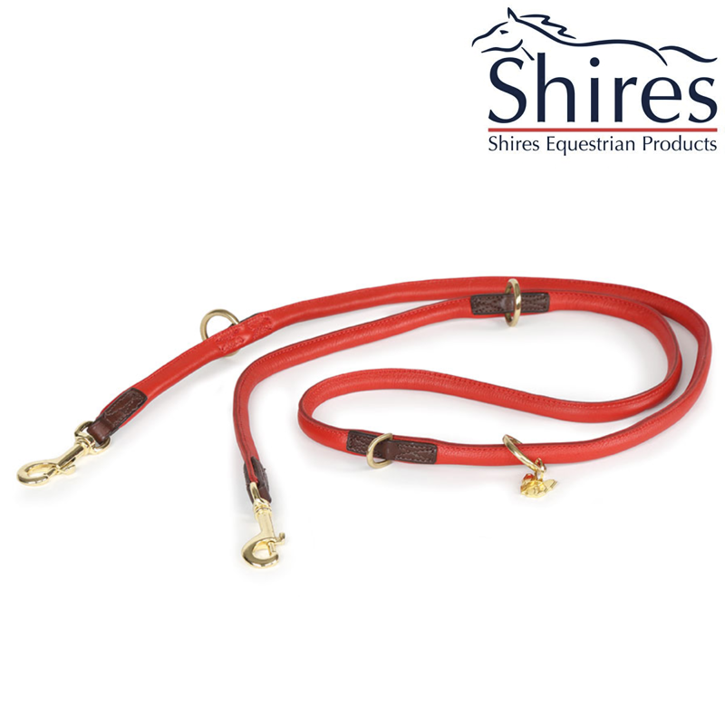 Digby and Fox Rolled Leather Training Dog Lead - Red